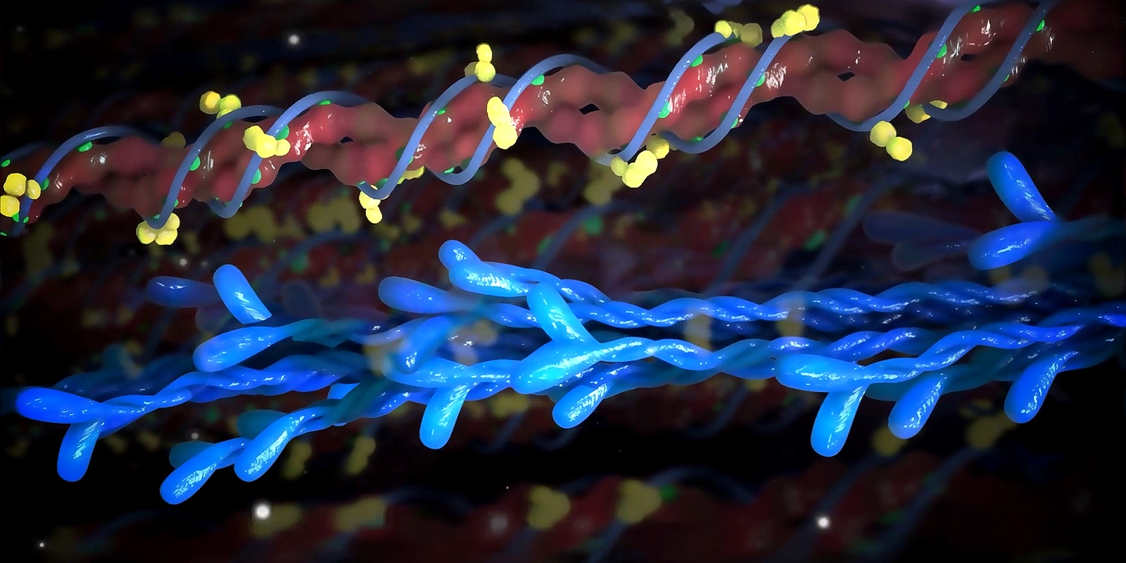 Unlock the Body's Wonders: Immerse Yourself in Medical Animation by Trinity Animation (Kansas City).